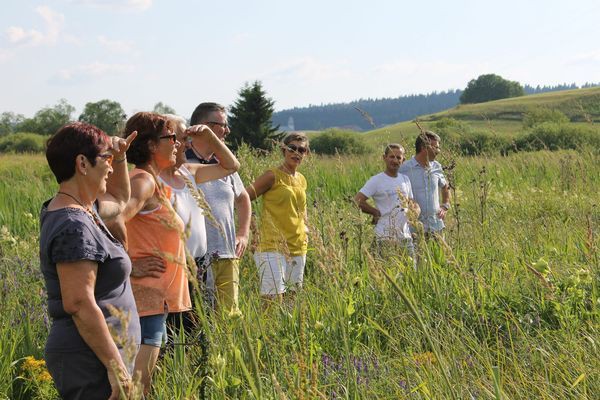 Séjour Rando dans le Jura